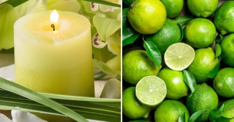 Aprenda a fazer velas caseiras perfumadas com limão